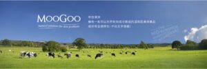 moogoo banner